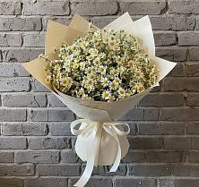 Букет цветов из:  Ромашки #REPLACE_PRED# Обливской