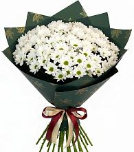 Букет цветов из:  Хризантемы #REPLACE_PRED# Обливской