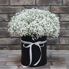 Цветочная композиция из Гипсофила в шляпной коробке в Обливской